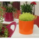 성은세탁소 이미지