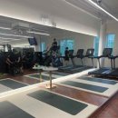 분당-113 이미지