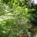 덕유대야영장 이미지