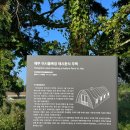 제주 이시돌목장 테시폰식 주택 이미지