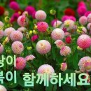 이약국 이미지