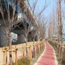 3.15대로 이미지