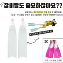 프리다이빙 체험 네이버블로그