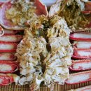 바다마을사람들 이미지