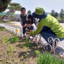 용암초병설유치원 이미지
