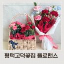 플로맨스 이미지