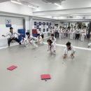 용인대금메달태권도 이미지