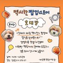 멍냥잡화점 | 5/15-6/8 성수 &lt;장하다 하림 맥시칸 팝업스토어&gt; 반려견 동반 가능, 사전예약링크
