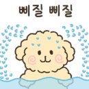 애견미용실 몽 네이버블로그
