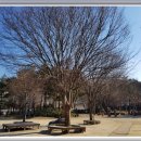 아라리민박 이미지