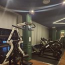 더휘트니스 이미지