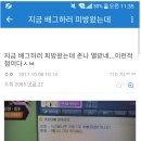 갤러리피씨방 이미지
