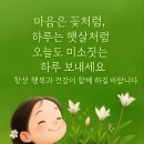 26,8.25 화/ 끝말잇기 친~으로 이어갑니다 이미지