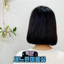 가성비 좋은 클리닉 잘하는 미용실 익산 세느린