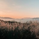 RECEIVE AN 이미지