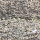 토바맑은식품 이미지