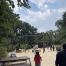 숲속공원놀이터 이미지