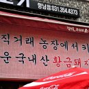 곳간채숨은고기