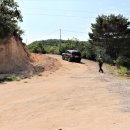 콩각시 농원 이미지