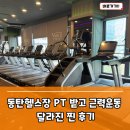 근력운동 | 동탄헬스장 PT 받고 근력운동 달라진 찐 후기