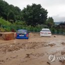녹동천 이미지