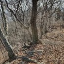 쌍령산 봉수대 이미지