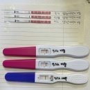 수정-27 | 임신준비5탄 인공수정2차성공!!임신성공후기