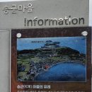 진도여라 이미지