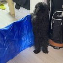 혜지문화사 | 개강😢😔☹️