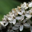 까치농장 이미지