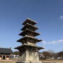 정림사지박물관 | 부여 가볼 만한 곳 정림사지 5층석탑·정림사지박물관 방문 후기