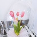 정뷰티샵 이미지