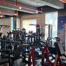 뉴바디짐 해머스트렝스오피셜센터 문흥점 이미지