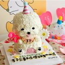 마닐마닐 | 김포 강아지 케이크 주문 후기 [마닐마닐]