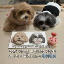 청키딩키