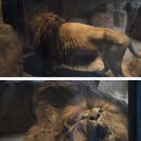 한사자농장 이미지