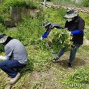 대장천생태하천 이미지