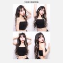 톰&젤 애견미용실 | 강서구 발산역 모노맨션 마곡점 인생네컷 내돈내산 후기 가격 프레임 소품 혼자 포즈추천 애견동반사진관