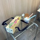 제주기념품 한라산도 동문시장점 한라산도 미니, 산도라또