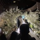 마지막까지 고민했던 최종후보, 더컨벤션 영등포 투어 후기 (2026년 상반기 대관료, 식대 견적 공유O)