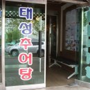 태성추어탕 이미지