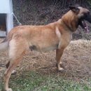 이삭목장 이미지