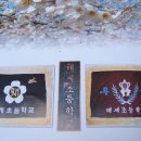 매계초등학교 이미지