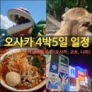 대구시청별관앞 교통섬 | [오사카 4박 5일 일정] 2인 250만원 / 교토 &amp; 나라 가성비로 떠나는 커플여행 코스정리!!(ft. 유니버셜...