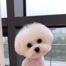쓰리빈 이미지