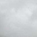 스윗 데일리 이미지