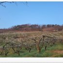 승진행정사 이미지