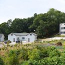 피사모아 이미지