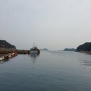 노대조은낚시터 | 통영 나드리호 노대조은낚시터, 학꽁치 천국