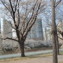 오늘더예쁘다 이미지